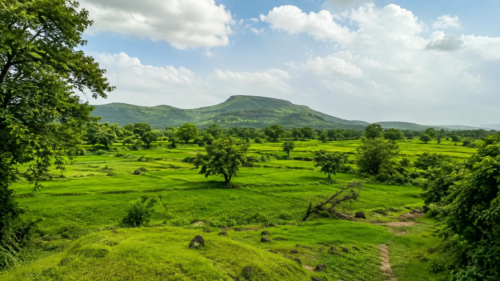 Green countryside landscape around Saphale Maharashtra